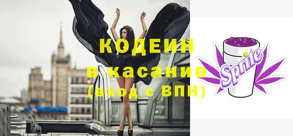 шишки Богородицк