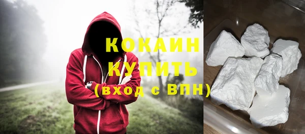 шишки Богородицк