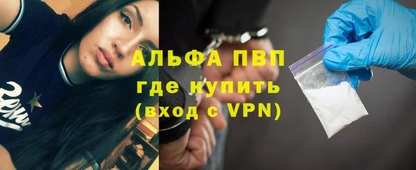 шишки Богородицк