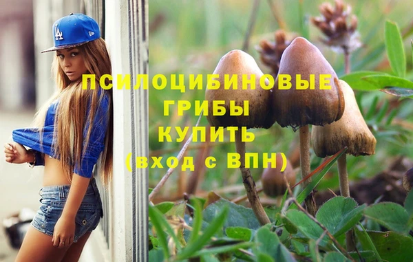 марки nbome Богданович