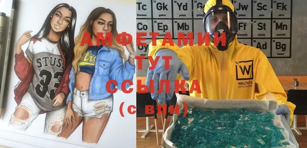 шишки Богородицк
