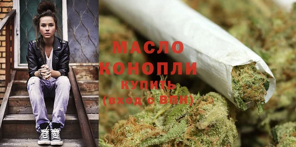 шишки Богородицк