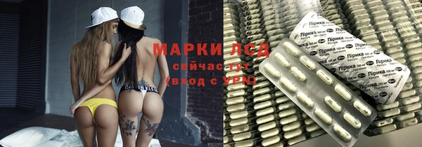 шишки Богородицк