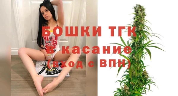 молекула духа Богородск