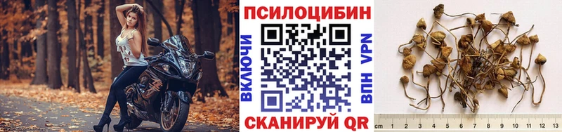 Псилоцибиновые грибы GOLDEN TEACHER Смоленск